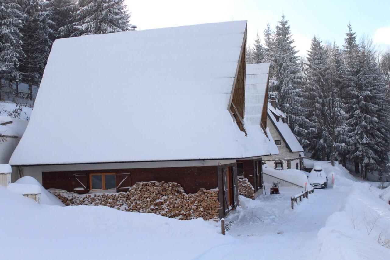 Holiday Home Elena Копаоник Экстерьер фото