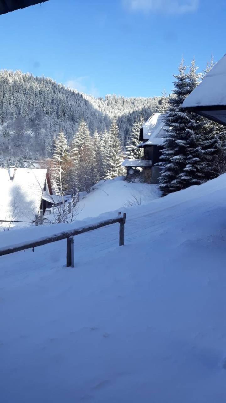 Holiday Home Elena Копаоник Экстерьер фото